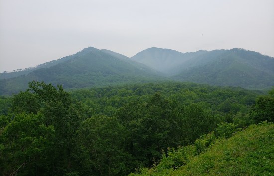 Mountains covered with trees and obscured by light mist
