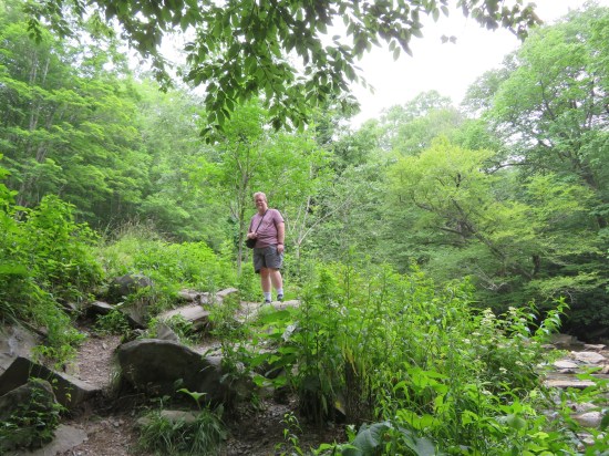 me standing on a tall rock in the middle of a forest, fuchsia Eddie Bauer shirt and gray shorts.