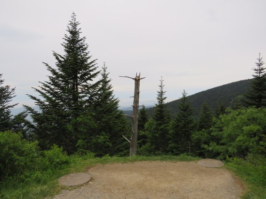 Dirt clearing in the middle of a mountain path with two concrete circles positioned on each end for some reason. One big dead tree sticks out among the pretty forest.