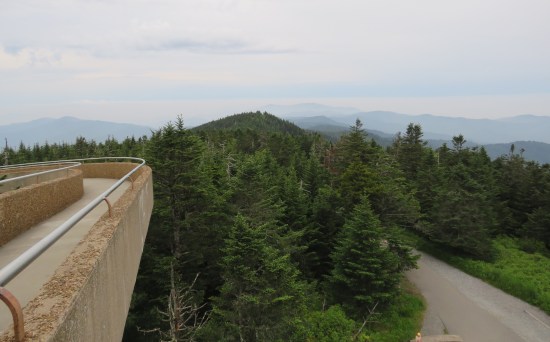High-up view of paved forest trail leading to a man-made clearing. At left is a guardrail.