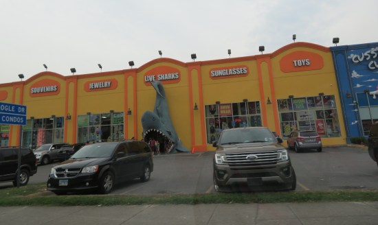 gift shop whose entrance takes you through a shark sculpture's mouth.