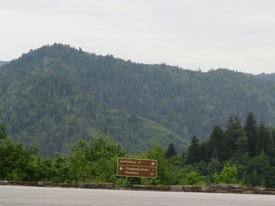 Tree-covered mountains far behind a wooden road sign pointing to Clingmans Dome 7 miles ahead on the left, Gatlinburg 15 miles ahead to the right. and someplace called "Cherokee" 20 miles on the left.