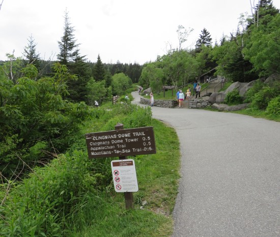 Paved trail mileage sign tells us Clingmans Dome, the Appalachian Trail, and something called the Mountain-to-Sea Trail are ALL a half-mile away.