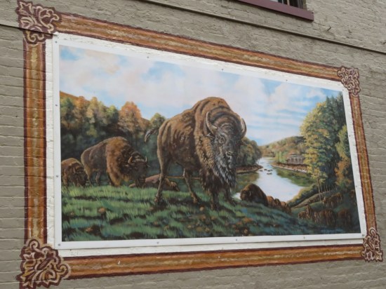 buffalo mural!