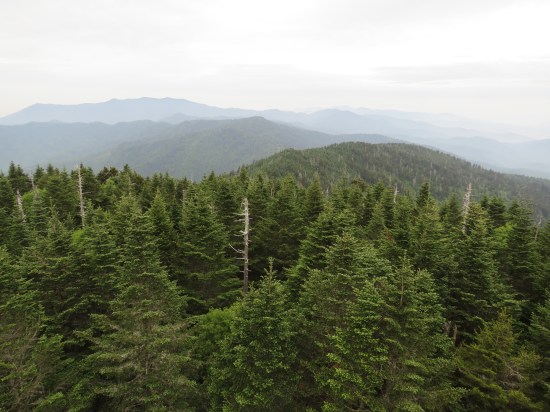 Long view of forests and mountains in a haze before it started raining.