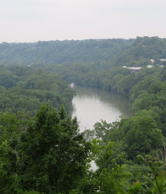 Kentucky River flowing up and down through a dense urban forest.