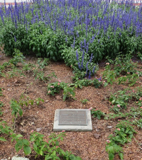 Cement stone labeled "time capsule" planted amid mulch in front of tall purple flowers.