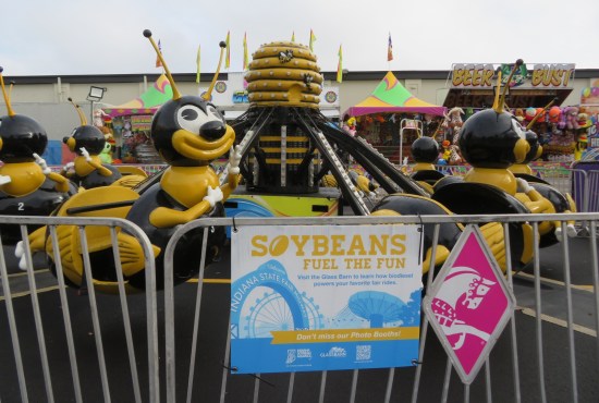 Yellow kiddie ride where all the cars are shaped like bees, and there's a sign boasting that several rides are now powered by soy-based biodiesel.