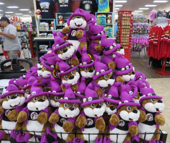 stuffed Buc-ee dolls in a bin, all wearing purple witch hats.