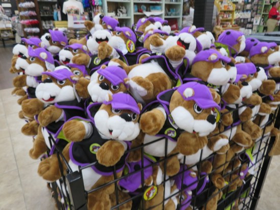 Wire store bin full of stuffed Buc-ee dolls with purple caps.