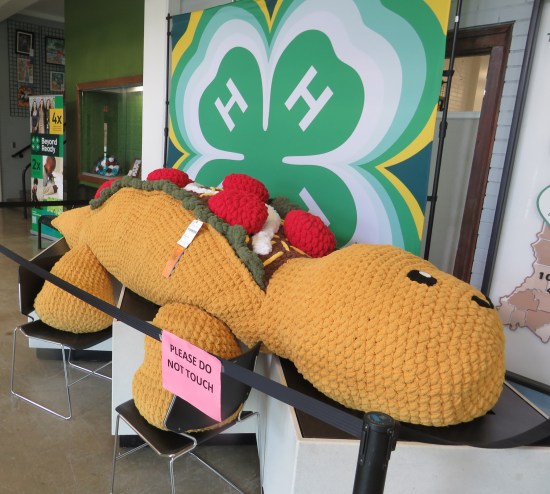 Giant sewn Taco-shaped dinosaur on a table in front of a wall-sized 4-H logo.