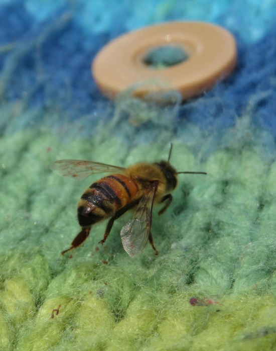Bee crawling on phone cozy.
