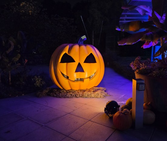 big pumpkin at night with spotlight on it.