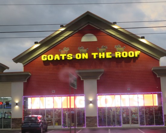Red store called Goats on the Roof but with nothing on its roof.