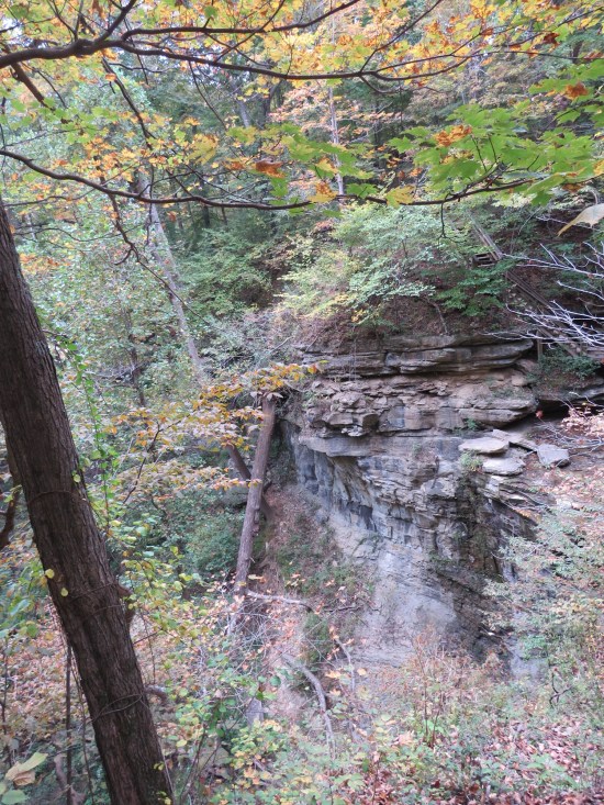 Little Clifty Falls below!