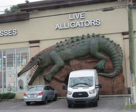 Business proclaiming Live Alligators with giant alligator statue in front.