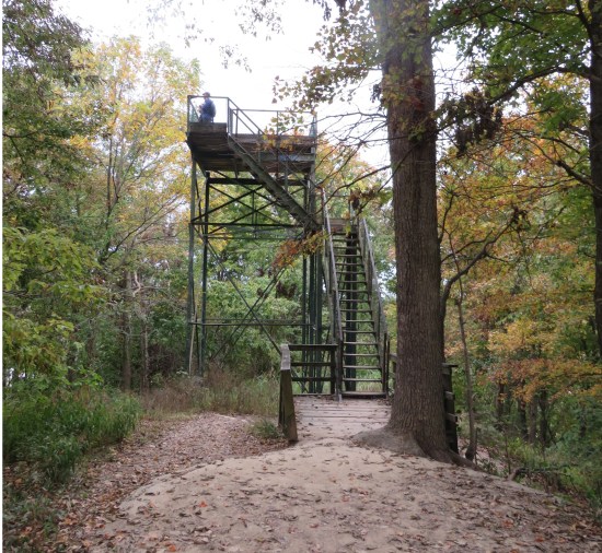 State park observation tower in the fall