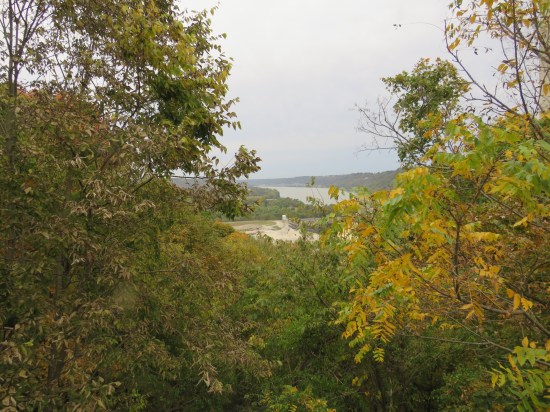 Ohio River distant beyond trees