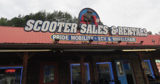 Scooter Sales and Rentals store with a bear on a scooter in their logo.