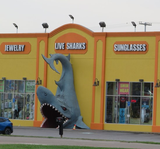 Yellow gift shop with a shark statue around the entrance, so the doorway is its gaping maw. Signs promise live sharks, jewelry and sunglasses.