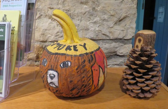 Pumpkin painted to look like Smokey the Bear's head, set on a bookshelf.