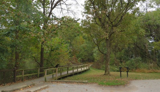 wood bridge in a forest only a few inches above a grass field. Sign reads "Trail 1 to Tower. Trail closes at dusk".