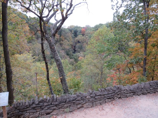 tree line and wall!